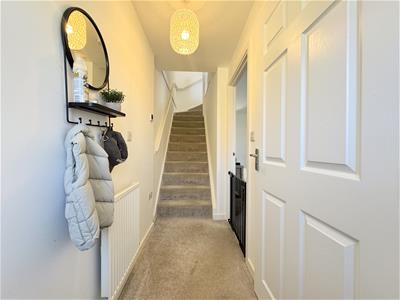 Picture 11